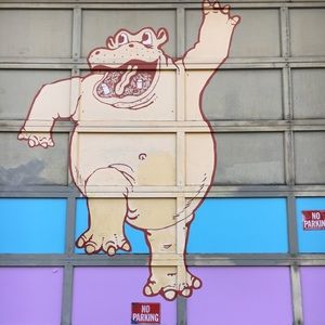 ✨1,000 followers✨